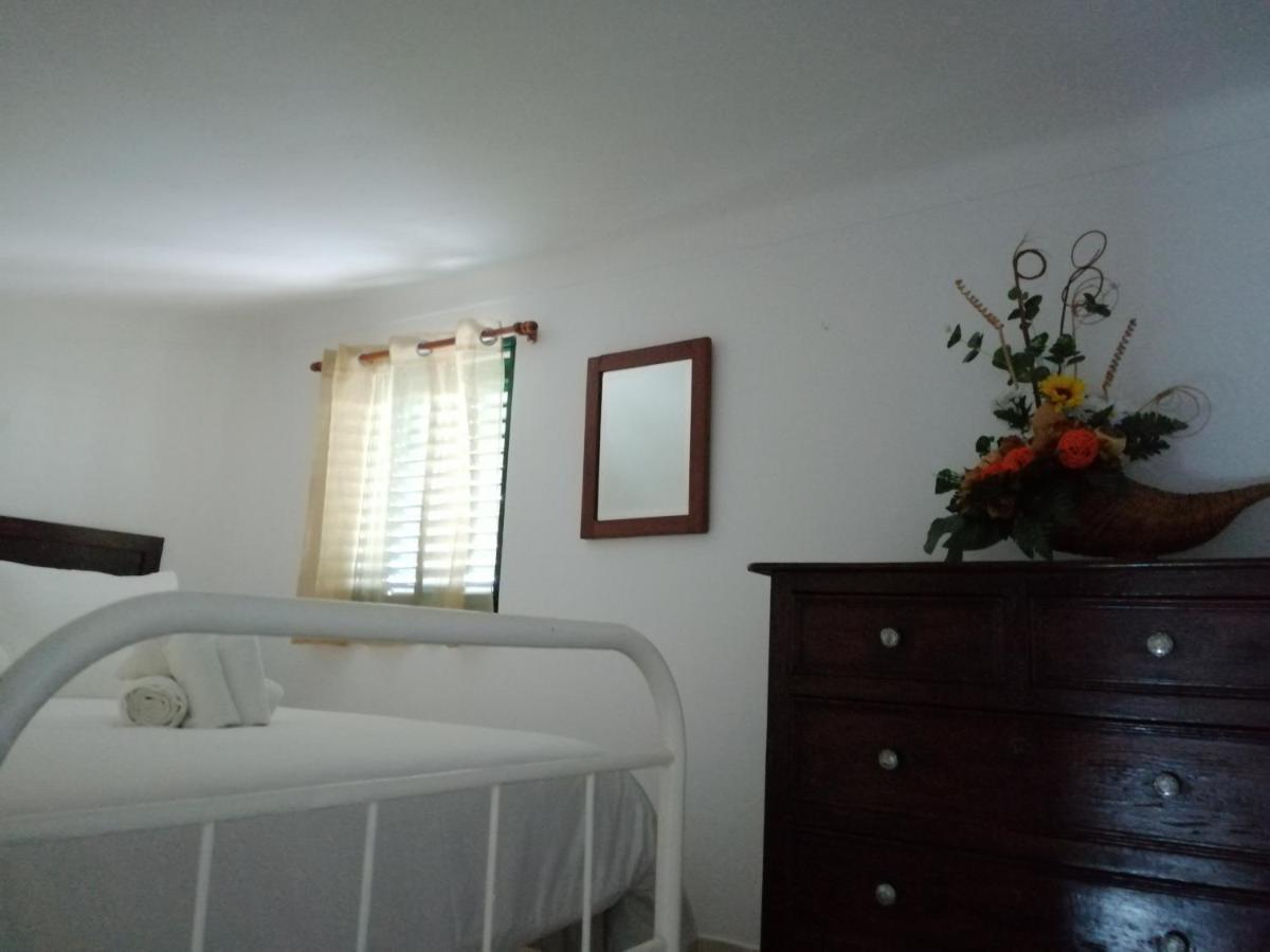 埃武拉Vitoria House公寓 外观 照片