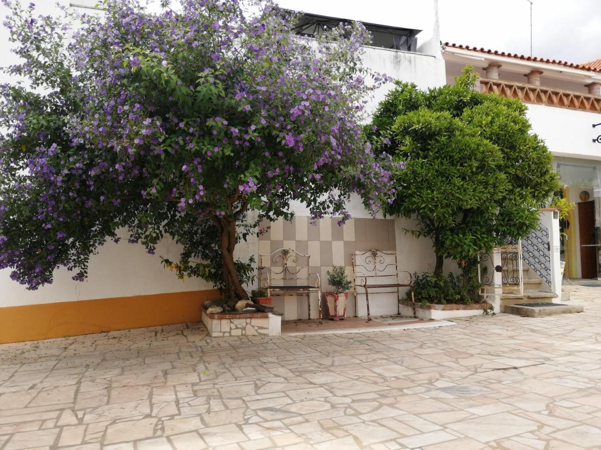 埃武拉Vitoria House公寓 外观 照片